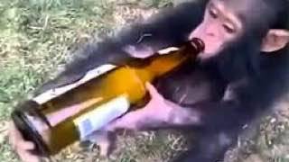 БУРСАЙДЖЕР, ЛЮТЫЙ ПОТ В 2К. МИР ТУТЛС!!!