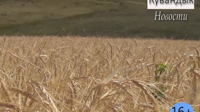Новости Кувандыкского городского округа Оренбургской области (10)