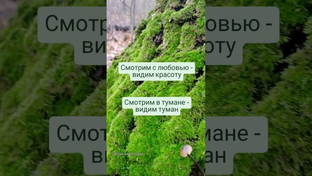 Почему «красота в глазах смотрящего»? 💚
t.me/tarot_healing
#красота #любовь #мирвокруг #мышление