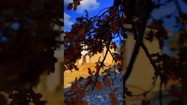 Романтика осени в наших домах 🧡
Красив? Не правда ли

Не надо ехать за границу, у нас много красивы