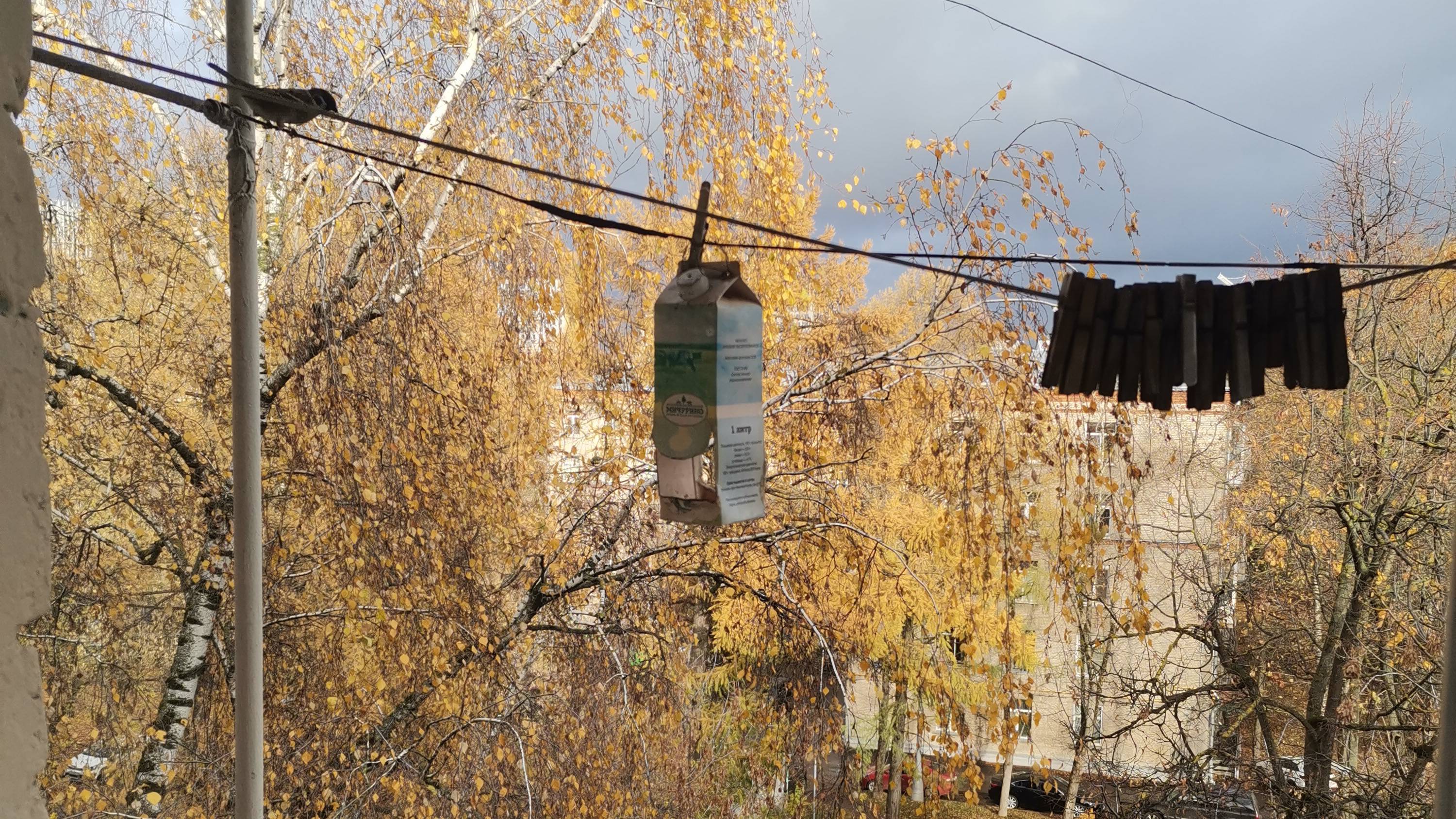 улетела пташечка