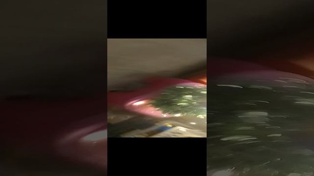 1000000308.mp4