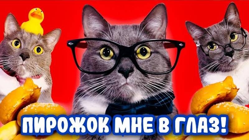 ЕСЛИ БЫ КОТИКИ ХРДИЛИ В ШКОЛУ-ДЕНЬ ЗАРПЛАТЫ