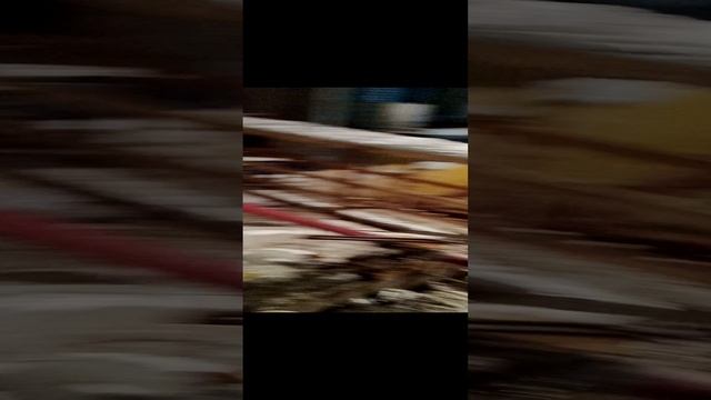 1000007159.mp4