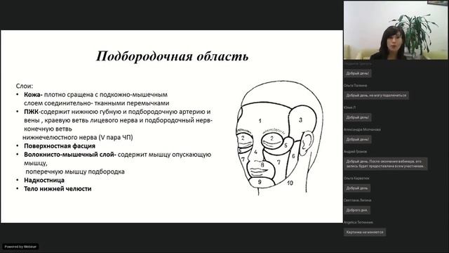 Нижняя треть лица Послойная анатомия Возможные риски Как избежать