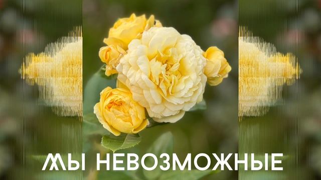 Мы невозможные