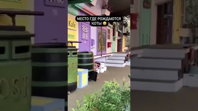 материлизовались