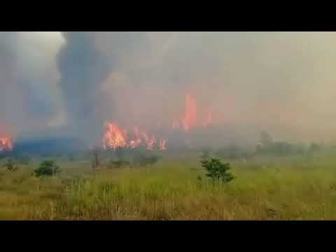 Страшный лесной пожар в Николаевском районе не прекращается