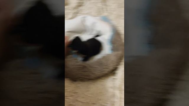 1000004273.mp4