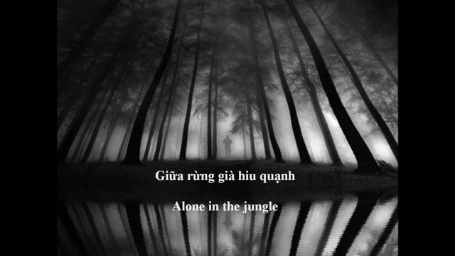 Tron niem tin TAM BAO   --  cs Duc Chinh