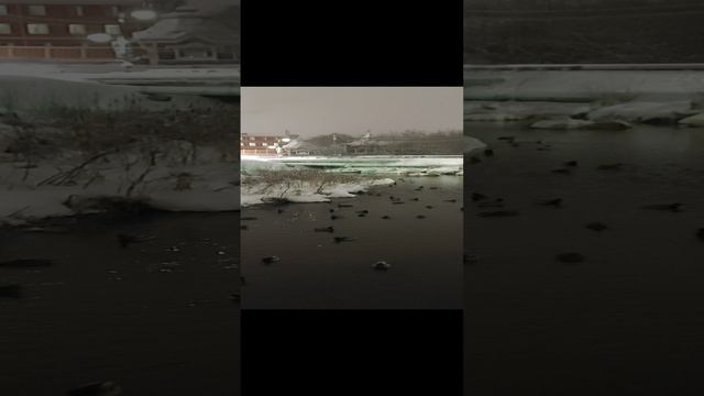 У ЛАВРЫ