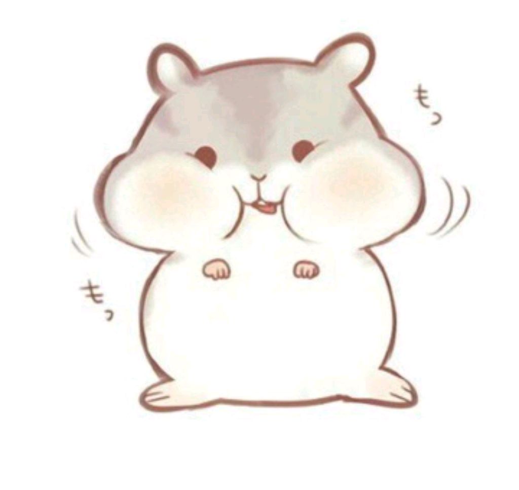 мой хомячок🐹💗