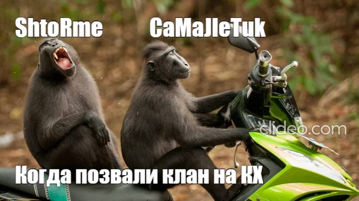 Стримчик от  СaMaJleTuk