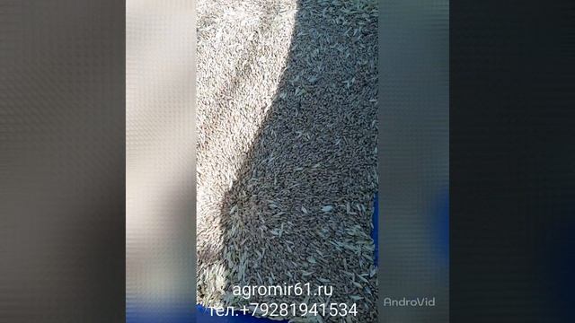 Зернодробилка 5,5 кВт.mp4