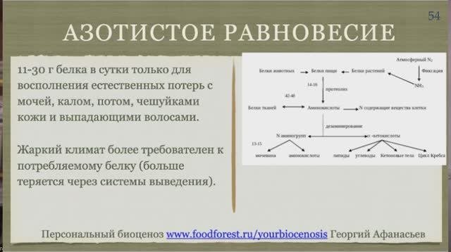 Афанасьев_Биоценоз богатый белком_10