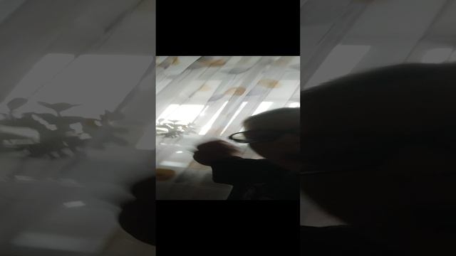 VID_20241210_130746.mp4