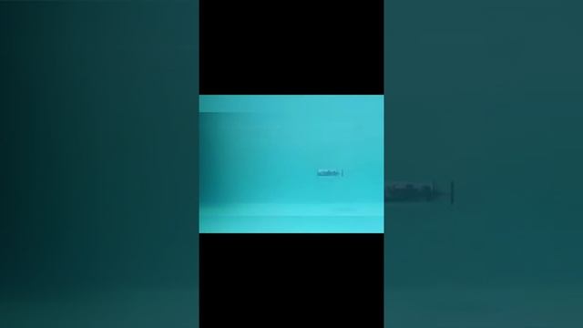 Корпорация Юмора - Премию этому господину за прямые руки и толику фантазии!