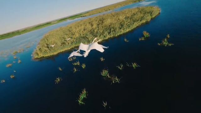 Видео Курс Cinematic FPV