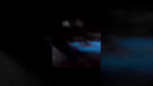 обзор на мои игрушки