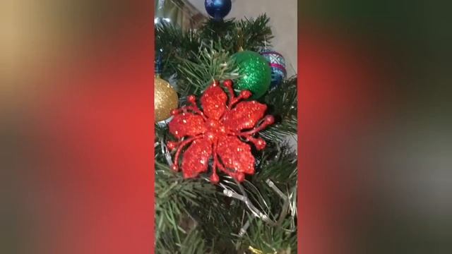 как мы наряжаем елку,и что в это время делает Марфа 🎄😼😹😹😹