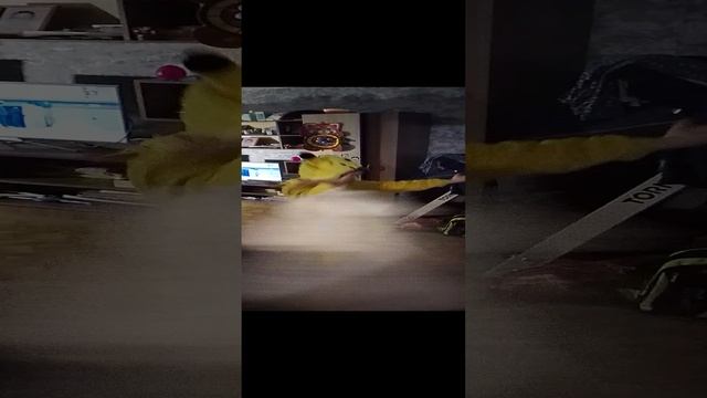 102617b4-a8d2-4fd3-b48c-c1622e178d06-1_all_1664.mp4