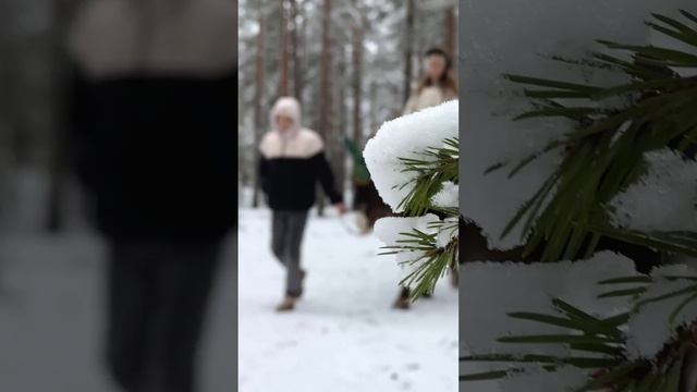 🐎Конные прогулки в «Жемчужине»: Ваш путь к незабываемым эмоциям!