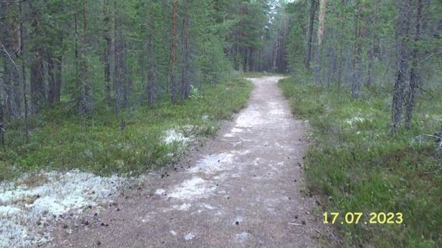 Знакомство с Карелией Беломорское притяжение Часть 3