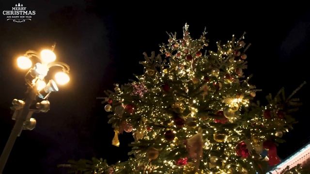 Christmas atmosphere 4k - scenic Winter Relaxation Film with Top Christmas Songs of All Time (5)