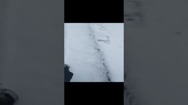 VID_20241210_120448.mp4