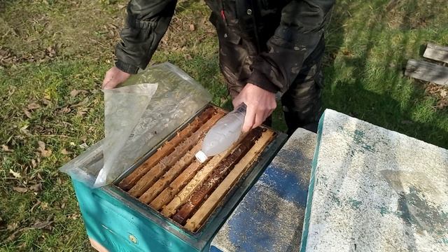 10 декабря 2024 год, +18, последняя обработка от клеща