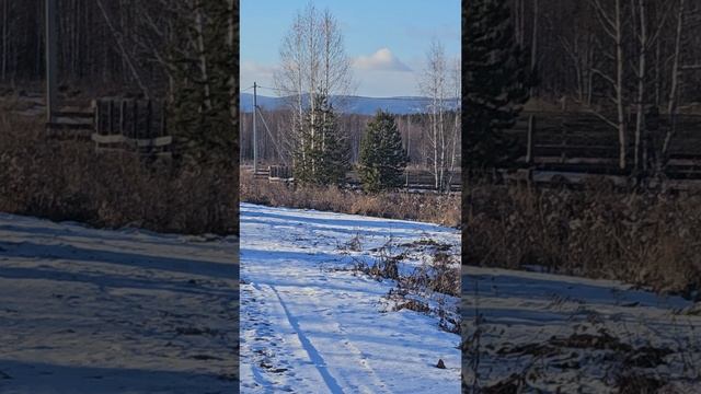 Теренкуль