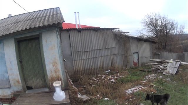 Яйцо крутиться 12 дней , осталось еще 5.