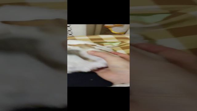 Моя новая маска ❤️