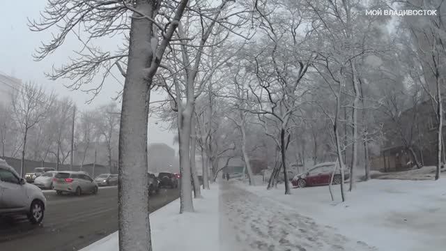 Мартовский снег во Владивостоке (19 марта 2020).