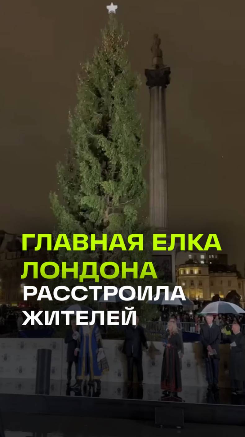 Худая и некрасивая: главная елка Лондона не обрадовала жителей города