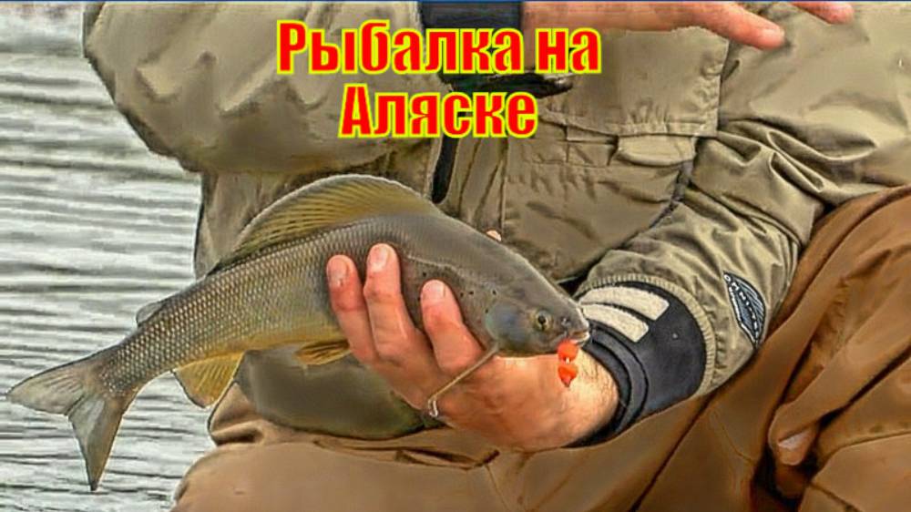 Рыбалка на Аляске