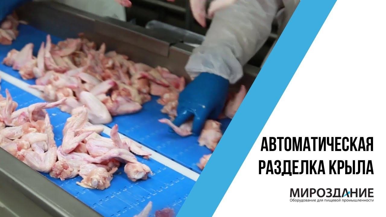 Автоматическая разделка крыла птицы. Линия разделки и обвалки птицы