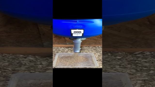 1000049464.mp4