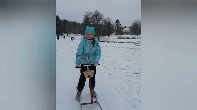 Новогодняя зарисовка из жизни