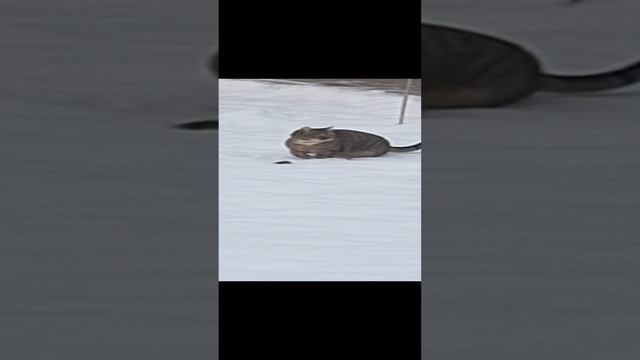 1000031350.mp4