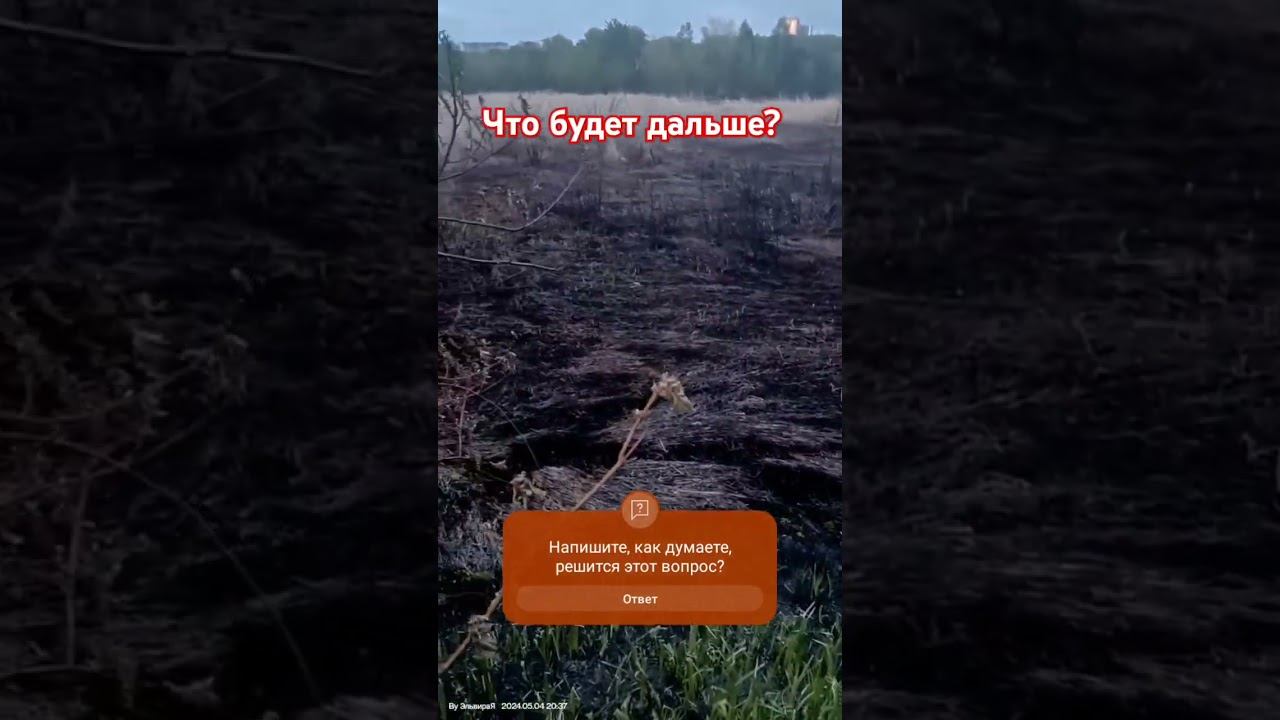 Неизвестные камазы свозят грунт и песок пойменного болота р. Свияги напротив ул. Шолмова 45,