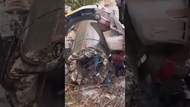 Взрослый слайсер)