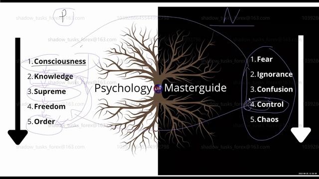 1 Chronological Order of Natural Laws