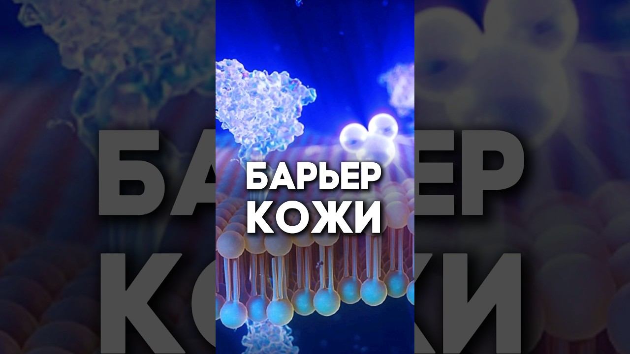 О барьере кожи!