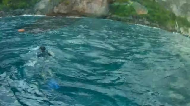 Swimming with Giant Manta Rays in Bali - Nusa Penida