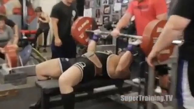 Mark Bell Raw + Shirted Bench in Coaches Eye