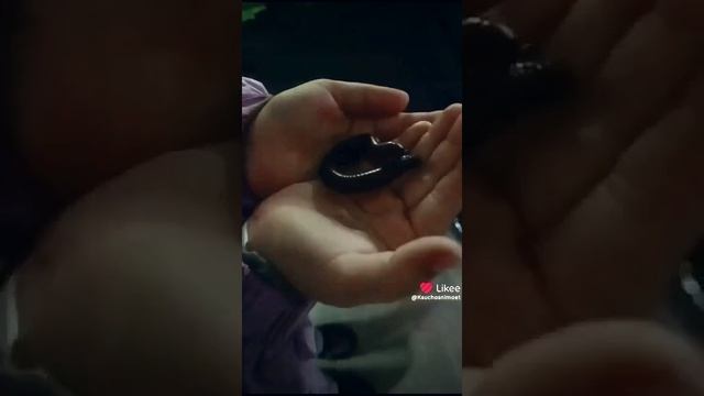 1000012715.mp4