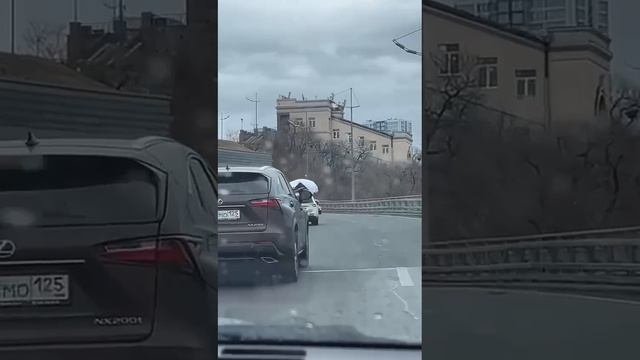 Гигантского краба размером с автомобиль заметили во Владивостоке.

В багажник улов не поместился.