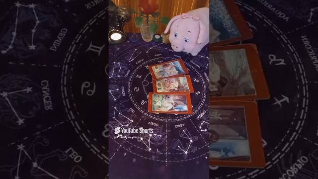 ЭМОЦИИ... или ЧУВСТВА....