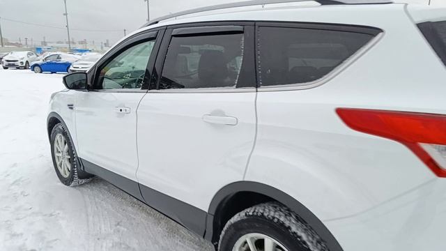 Ford Kuga 1.6 л Бензин АКПП (150 л.с.) 4WD 2014